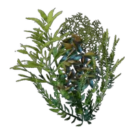 Underwater Overgrowth