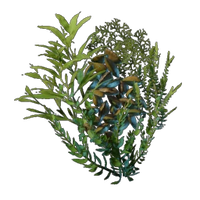 Underwater Overgrowth