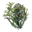 Underwater Overgrowth