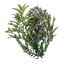 Underwater Overgrowth