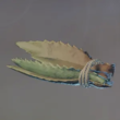 Enshrouded Aloe.webp
