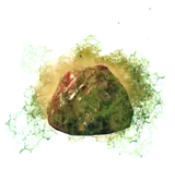 Oozer