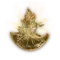 Elden-ring holy-shrouding-cracked-tear.webp