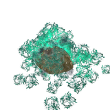 Tiny Pulp
