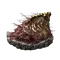Elden-ring shard-of-alexander.webp