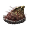 Elden-ring shard-of-alexander.webp