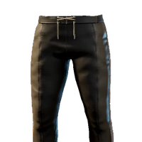 Explorer Pants