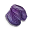 Hellebore Petals