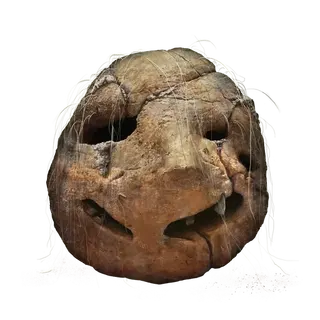 Prattling Pate "Hello"