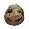 Elden-ring prattling-pate-hello.webp
