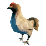 Hen