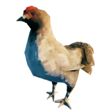 Hen