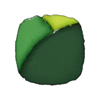Emerald Forest