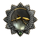 Order of Bravery of the Tender Temptation
