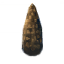 Fir Cone