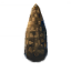 Fir Cone