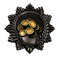 Order of the Golden Rain