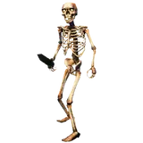 Skeleton