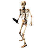 Skeleton