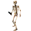 Skeleton