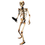 Skeleton