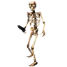 Skeleton