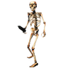 Skeleton