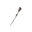 Dragon's Dogma 2 Goblin Bane.webp