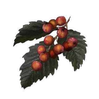 Rowa Fruit