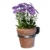 Small Pink Wall Pot