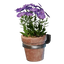 Small Pink Wall Pot