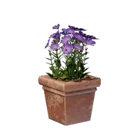 Square Pink Flower Pot
