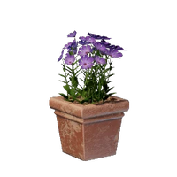 Square Pink Flower Pot