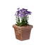 Square Pink Flower Pot