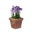 Square Pink Flower Pot