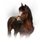 Roach