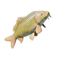 Lakehopper