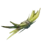 Plant Fiber