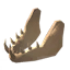 Vilebone Visage