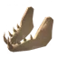 Vilebone Visage
