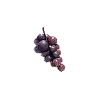 Grapes