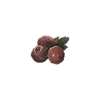 Ripened Raspberry