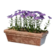 Long Pink Flower Pot