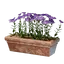Long Pink Flower Pot