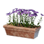 Long Pink Flower Pot