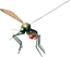 Deathsquito