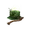 Elden-ring drawstring-poison-grease.webp