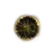 Elden-ring shadow-realm-rune-4.webp