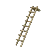 Bamboo Ladder