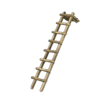 Bamboo Ladder